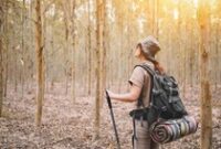 1764068712605-solo-traveling_43