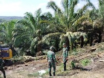 1764155110353-proses-penertiban-lahan-di-kawasan-tntn-riau-dok-satgas-pkh-1751521880552_43