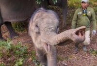 1764176714100-e78442bd-e9ba-42af-a443-ae2c63778e0a_43