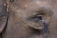 1764241497816-6c59a261-ec40-4ece-864a-d2fe72dc3278_43