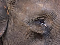 1764241497816-6c59a261-ec40-4ece-864a-d2fe72dc3278_43