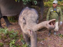 1764263084206-e78442bd-e9ba-42af-a443-ae2c63778e0a_43