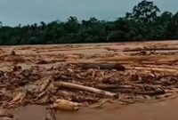 1764306310623-gelondongan-kayu-terbawa-arus-sungai-saat-banjir-di-sibolga-tapteng-tangkapan-layar-media-sosial-1764247927745_43