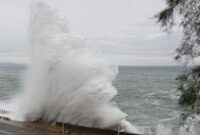 1764327928027-ombak-raksasa-di-pantai-spanyol-jadi-daya-tarik-wisatawan-5_43