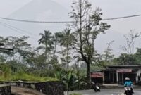 1764327938562-kondisi-gunung-semeru-pagi-ini-1764124146371_43