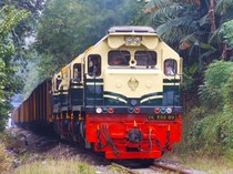 1764349503170-livery-jadul-ka-babaranjang_43