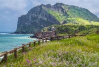 1764392717959-pulau-jeju-korea-selatan_43