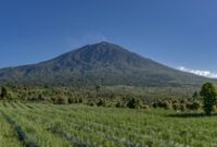 1764392720749-gunung-kerinci_43