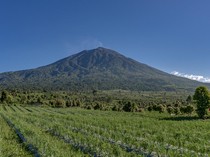 1764392720749-gunung-kerinci_43