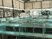 1764435879532-ugc-dtravelers-detiktravel-1764413433060_43