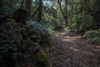 1764587138221-77e1ec35-37aa-4d26-af9c-72583f2ce8ed_43