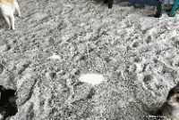 1764587143701-ugc-dtravelers-detiktravel-1764564936029_43