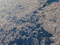 1764587145218-sampah-kayu-gelondongan-pascabanjir-bandang-di-solok-1764558874458_43