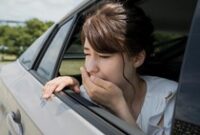 1764651905605-ilustrasi-mabuk-perjalanan-1742611652241_43