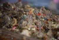 1764673503729-olahan-daging-tikus_43