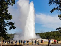 1764695117617-geyser-old-faithful-di-taman-nasional-yellowstone-amerika-serikat-1744176470211_43