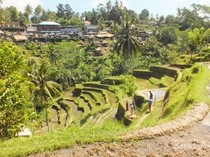 1764738321006-102a9b68-1c5a-4047-a2d0-e82c8b71e054_43