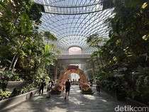 1764759954560-intip-megah-dan-menakjubkannya-bandara-changi_43