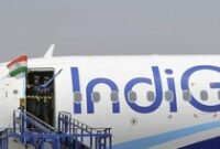 1765019108923-0fba82c2-ff82-4427-bc04-56426432ca1e_43