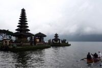 1765019110166-0b2cc748-be83-459a-adeb-173a163f1318_43