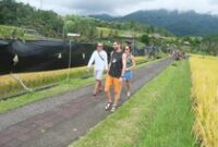 1765040719248-sejumlah-wisatawan-melintas-di-depan-bentangan-plastik-hitam-yang-dipasang-oleh-petani-di-kawasan-subak-jatiluwih-tabanan-bali-1764926180911_43