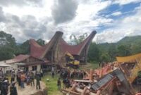 1765191903063-tana-toraja-1764932427176_43