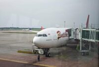 1765256708379-cara-batik-air-rayakan-hut-ri-ke-80-di-udara-1755477921346_43