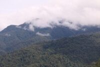 1765256711693-b2998de3-4ba9-44a7-863e-58bbc0510516_43