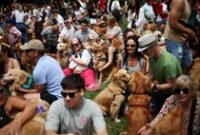 1765343104089-argentina-dogsrecord-1765270301554_43