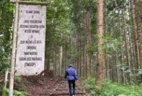 1765451091187-kawasan-balai-taman-nasional-gunung-gede-pangrango-btnggp-sukabumi-1_43