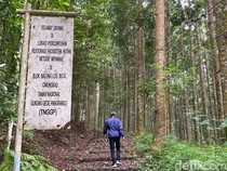 1765451091187-kawasan-balai-taman-nasional-gunung-gede-pangrango-btnggp-sukabumi-1_43