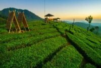 1765559092597-wayang-windu-panenjoan_43