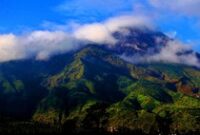 1765559096009-3c841b7b-d284-4258-8496-0cdb23d44d45_43