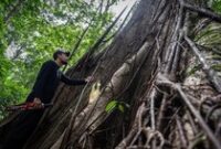 1765602289266-pesona-hutan-hujan-tropis-di-geopark-meratus-1_43