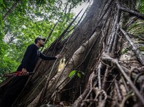 1765602289266-pesona-hutan-hujan-tropis-di-geopark-meratus-1_43