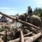 1765623864911-gajah-turun-gunung-bantu-bersihkan-puing-bencana-di-pidie-jaya-1765184169491_43