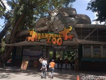 1765645485911-suasana-bandung-zoo-di-h-1-lebaran-1743318398307_43