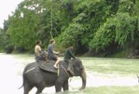 1765688680288-tangkahan_43