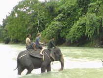 1765688680288-tangkahan_43