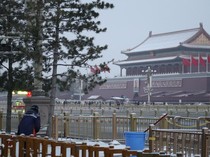 1765731886099-salju-perdana-musim-dingin-selimuti-beijing-1765633226125_43