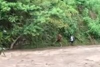 1765796699547-banjir-di-dompu-1765711793196_43