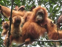 1765796709715-df6e54d0-0be3-4c9c-8388-f3c06aed2e83_43