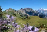 1765818291779-mendaki-pegunungan-alpen-dari-desa-murren-swiss-2_43