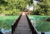 1765861500382-pulau-kakaban-berau-1765850007968_43