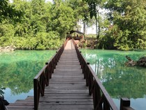 1765861500382-pulau-kakaban-berau-1765850007968_43