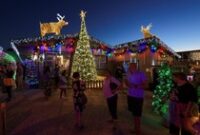 1765904686927-kilau-lampu-natal-ubah-rumah-jadi-destinasi-liburan-1765873235193_43