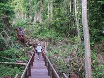 1765991099545-gua-gumantung-di-maratua-1765964414145_43