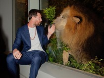 1766077492523-gaya-messi-kunjungi-kebun-binatang-ambani-di-india-interaksi-hangat-dengan-satwa-1766046011921_43