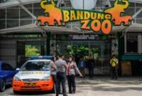 1766077496525-konflik-memanas-kebun-binatang-bandung-tutup-sementara-1751525846841_43