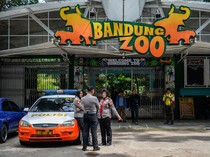 1766077496525-konflik-memanas-kebun-binatang-bandung-tutup-sementara-1751525846841_43
